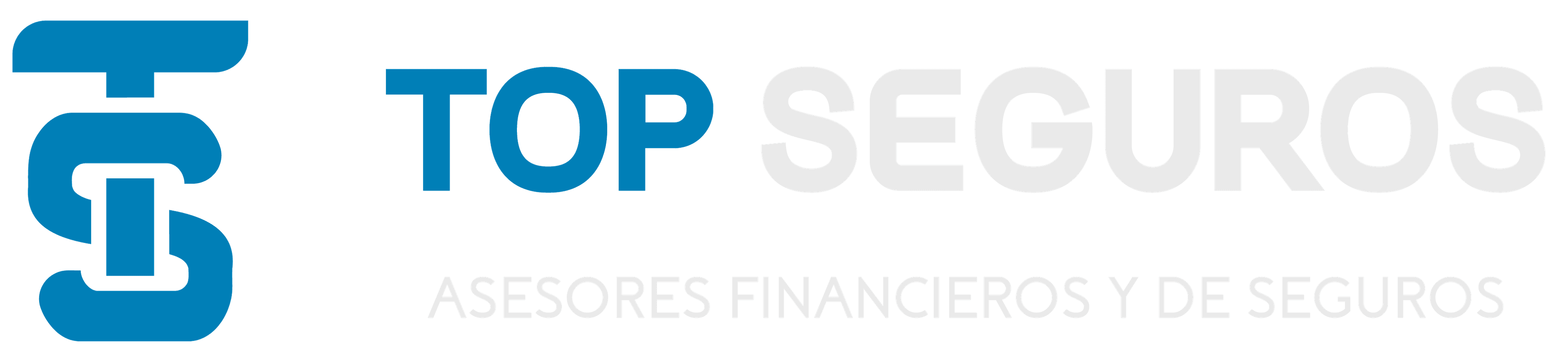 Top Seguros Logo